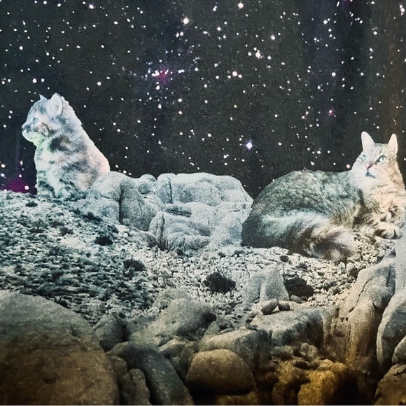 Modcloth 4x Galaxy Cat Astronaut Dress - Picture 8 of 13